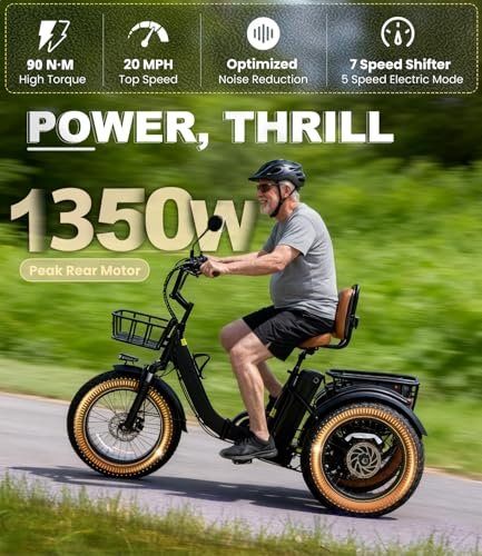 KAKIGO Electric Tricycle for Adults